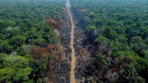 Uma vista aérea de uma parte desmatada da floresta amazônica