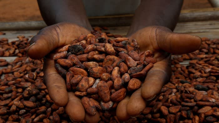 Цената на какаото скочи до 10 000 долара за тон