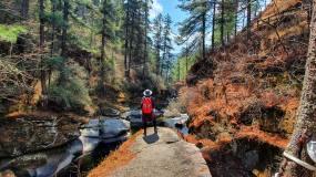 Hidden Himalayas: hiking the new Trans-Bhutan Trail image