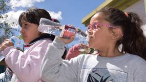 By teaching our children why water beats soda, we all benefit image