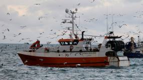 Article image: France slams UK over fishing access to protected habitat in British waters 