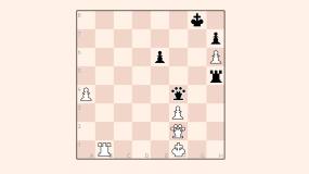 Anish Giri wins at Tata Steel Wijk aan Zee as Magnus Carlsen’s late rally falls short image