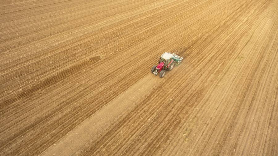 China breidt landbouwgrond uit om de afhankelijkheid van buitenlands voedsel te verminderen