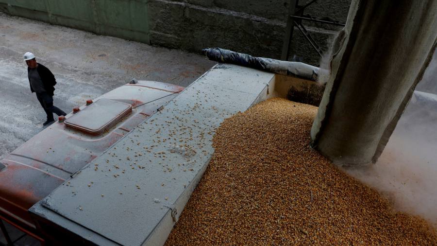 Los líderes europeos instan a Putin a liberar suministros de cereales a Ucrania