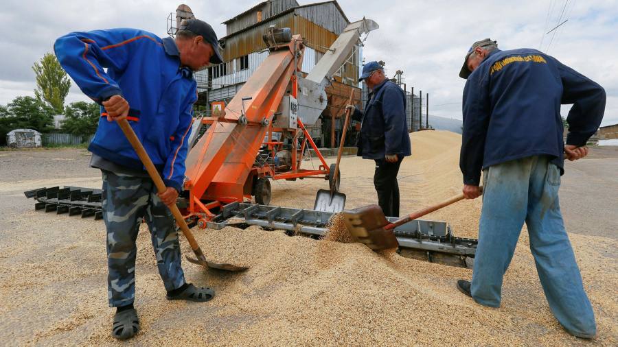 Ukraine plays down hope of deal to end Russian grain blockade