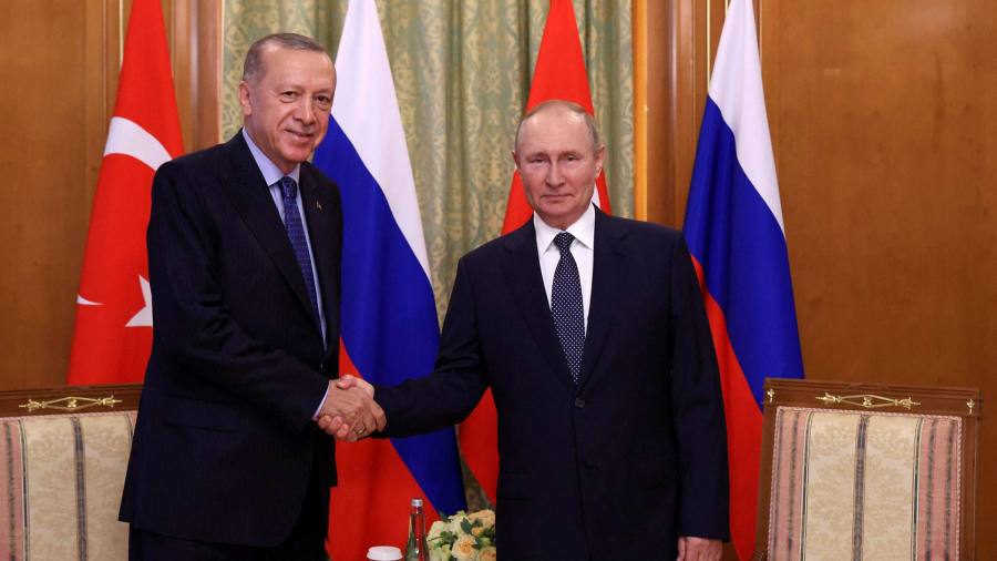 Putin and Erdoğan vow to deepen economic ties