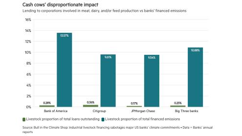Livestock financing contributes outsized emissions for biggest US banks