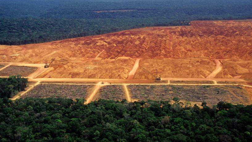 EU banks face new deforestation financing rules