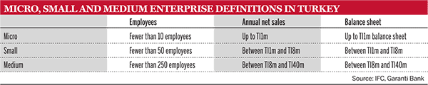 Micro,-small-and-medium-enterprise-definitions-in-Turkey
