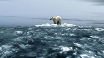 Investors’ expectations key in climate risk