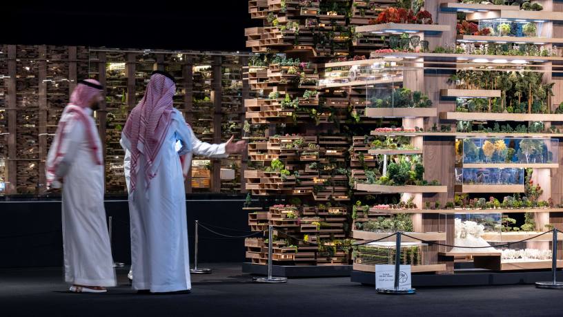 The Saudi Arabian Economy Diversifies Successfully Despite Regional Challenges